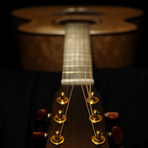 民工赖俊沈莹弹乳琴
