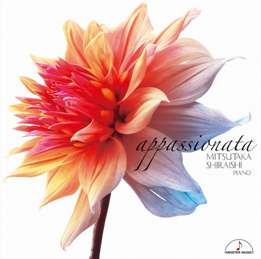 民工赖俊沈莹弹乳琴
